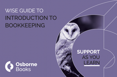 Introduction to Bookkeeping Wise Guide
